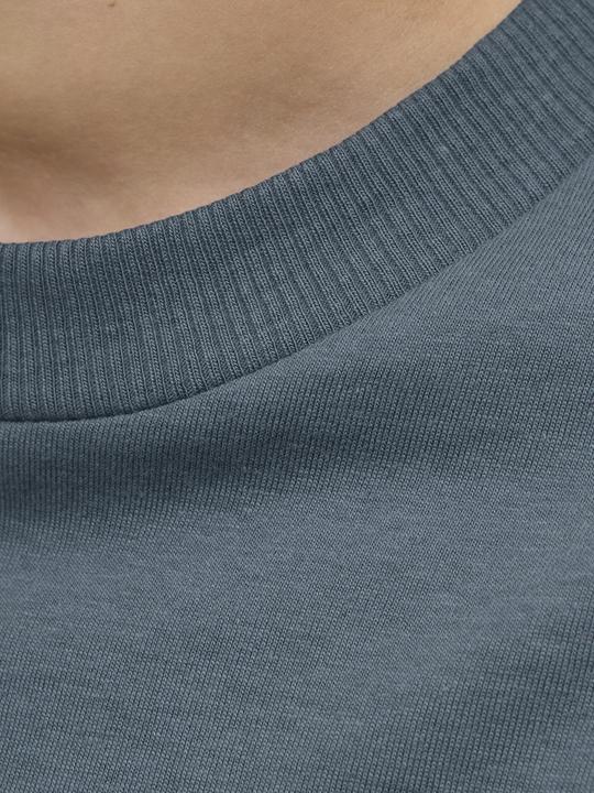 Produktbild Jack & Jones Jjecaleb Varsity Tee Ss O-Neck Noos Jnr (152)