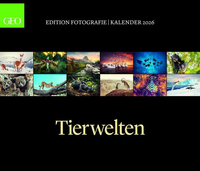 Actual product image Neumann GEO Edition: Tierwelten 2026 - Wand-Kalender - Tier-Kalender - 70x60 (German)
