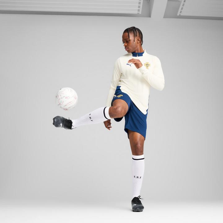 Produktbild Puma FPF Training 1/4 Zip Top (L)