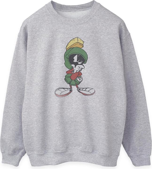 Looney Tunes Sweatshirt