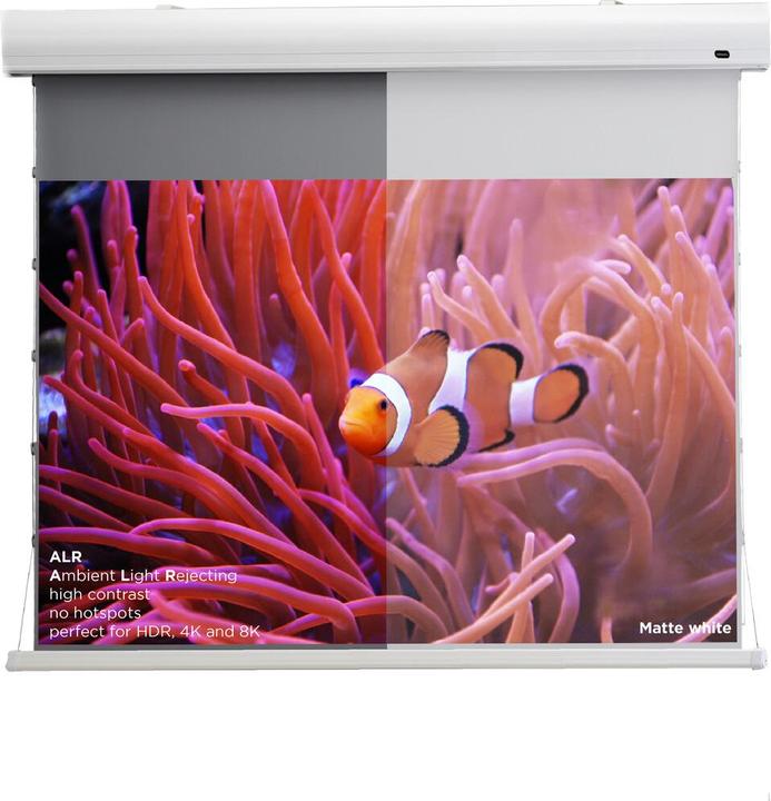 Actual product image Celexon Tension screen HomeCinema Dynamic Slate ALR 221x124cm 16:9 (100", 16:9)