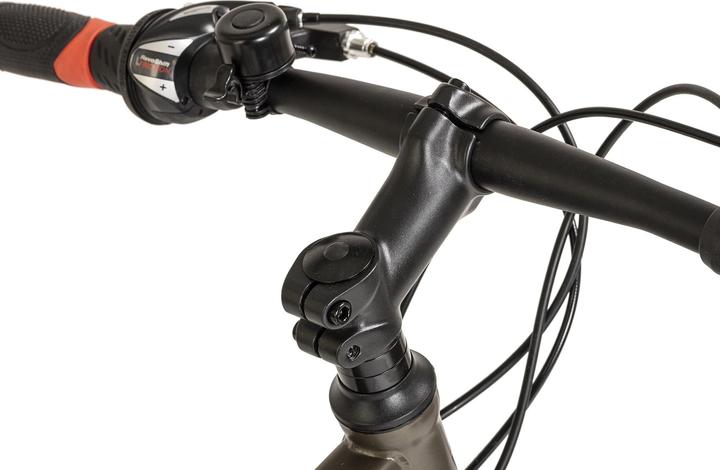 Produktbild Wyld Mountainbike Hardtail 29" Sharp Scheibenbremse platin-grau 21 Gänge (46 cm)
