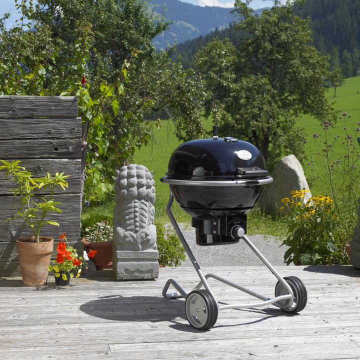 Immagine prodotto Rösle F50 Air (50 cm)