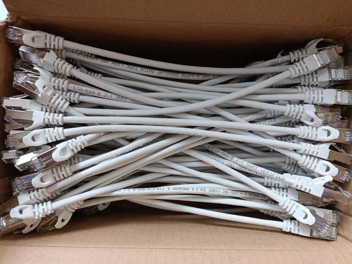 Actual product image equip Patch cable (S/FTP, CAT6, 0.25 m)
