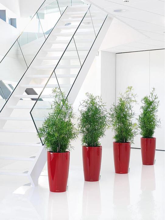 Actual product image Lechuza Planter Rondo Premium 32 (33 cm)