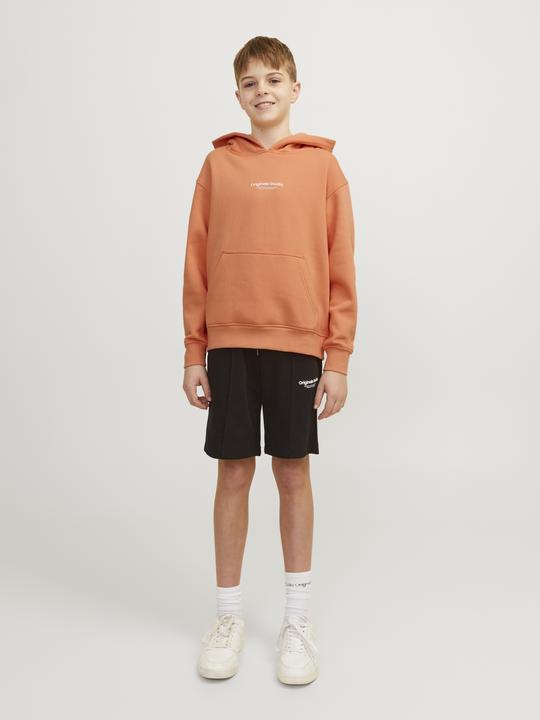 Actual product image Jack & Jones Hoodie (152)