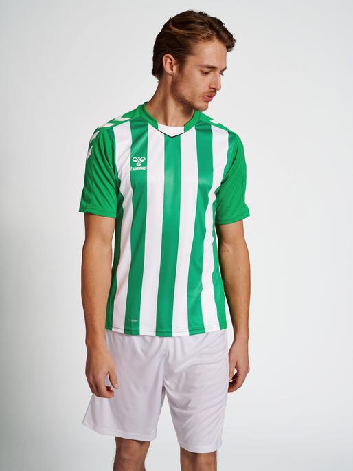 Actual product image hummel Core Xk Striped Jersey S/S (3XL)