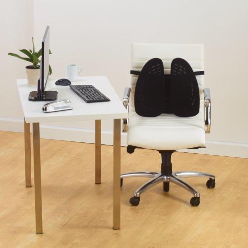Produktbild Kensington K60412WW SmartFit anpassbare Rückenstütze