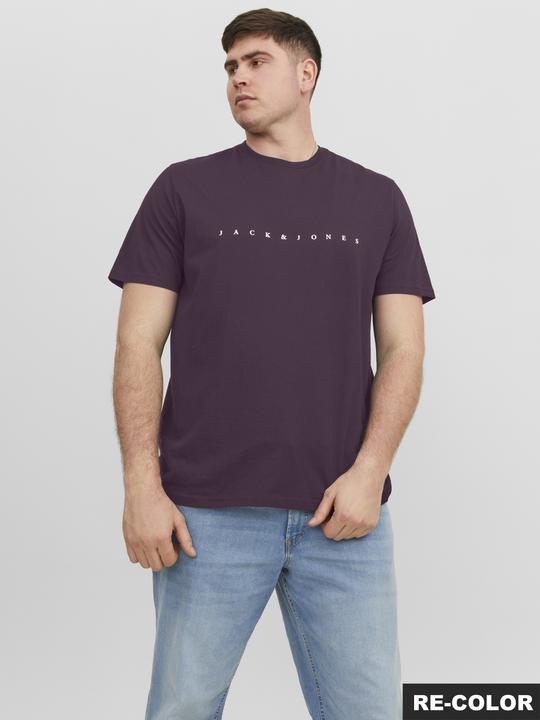 Actual product image Jack & Jones Jjestar Jj Tee Ss Noos Pls (4XL)