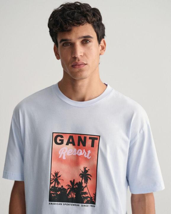 Actual product image GANT t-shirt washed graphic (L)