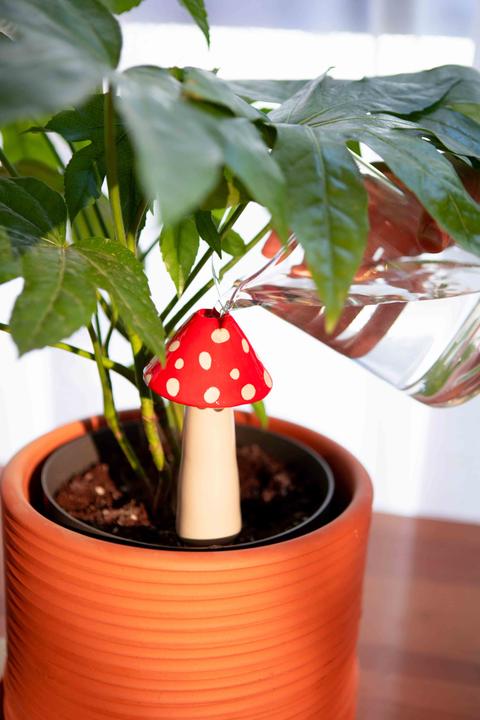 Image du produit Lund-Stougaard Amanita (Boules d'arrosage)