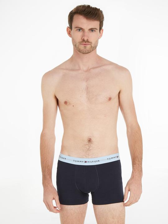 Actual product image Tommy Hilfiger WB Trunk (L, pack of 3)