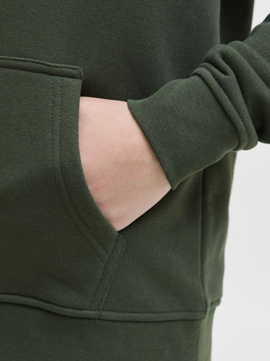 Actual product image Jack & Jones Jjesoho Sweat Hood Noos Jnr (140)