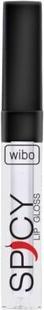 Produktbild Wibo WIBO Spicy Lip Gloss błyszczyk do ust 21 3ml