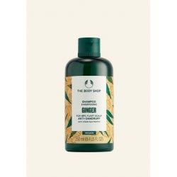 Produktbild Body Shop Ginger Anti-Dandruff (250 ml, Flüssiges Shampoo)