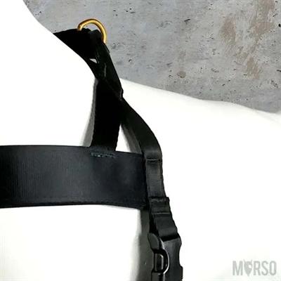 Actual product image MORSO Norwegian Hondentuig Gerecycled Gold Caviar Goud (Dog, Dog sport)