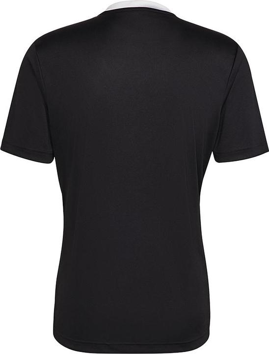 Actual product image adidas SHIRT ENTRADA 22 BLACKAD X8742545 (M)