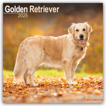 Produktbild Avonside Publishing Ltd:Golden Retrieve (30.5 x 30.5 cm, Deutsch)