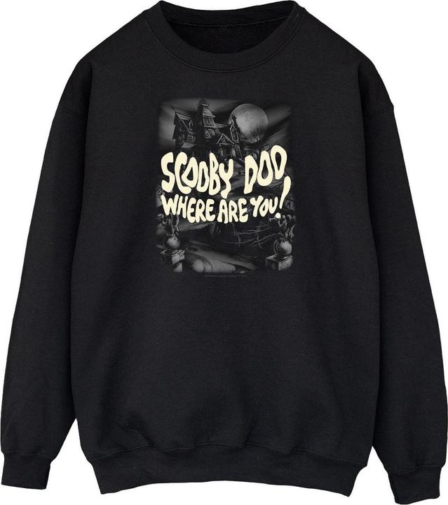 Produktbild Scooby Doo Where Are You? Sweatshirt (L)