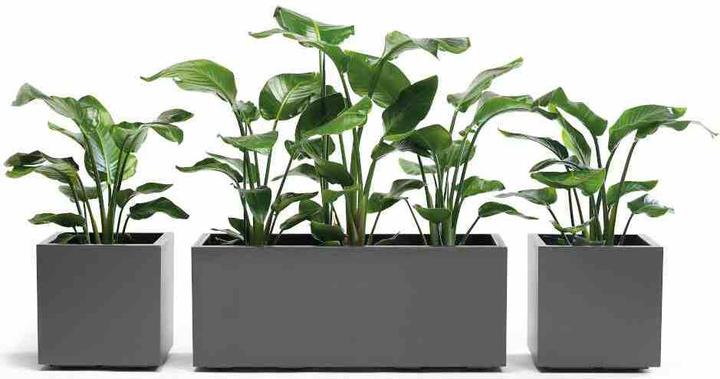 Productafbeelding Euro3plast Planter (39.50 cm)