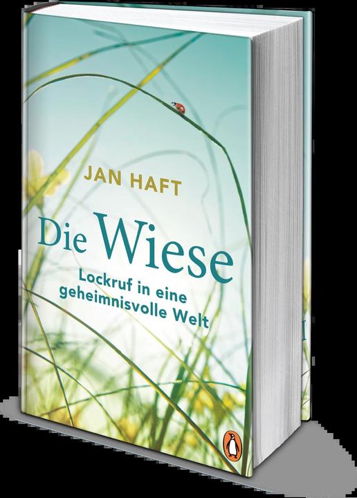Produktbild Die Wiese (Deutsch, Jan Haft, 2019)