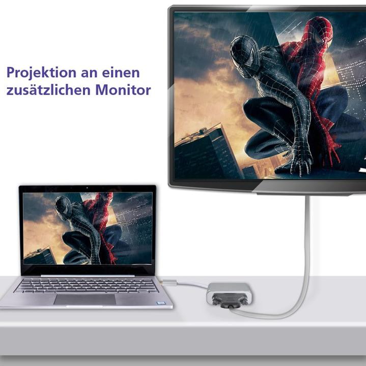 Produktbild Helos PREMIUM DisplayPort/DVI-Adapter (DVI, 10 cm)