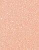 Image du produit MAC Cosmetics Lipglass (C-Thru)