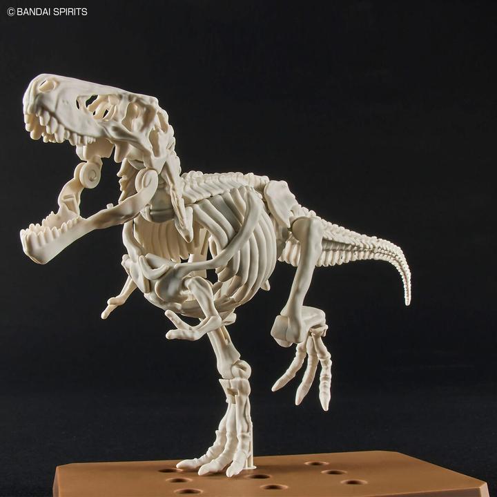 Actual product image Bandai DINOSAUR - New Dinosaur Plastic Tyrannosaurus (Tentative) - Model Kit