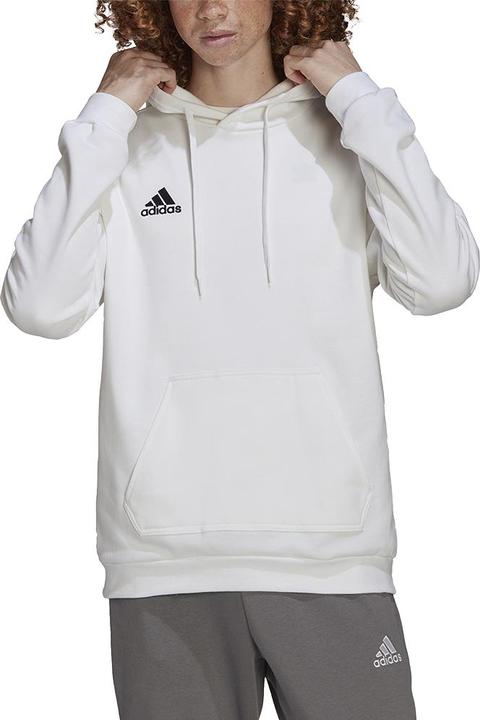 Image du produit adidas Sweat à capuche Entrada 22 Hommes (XS)