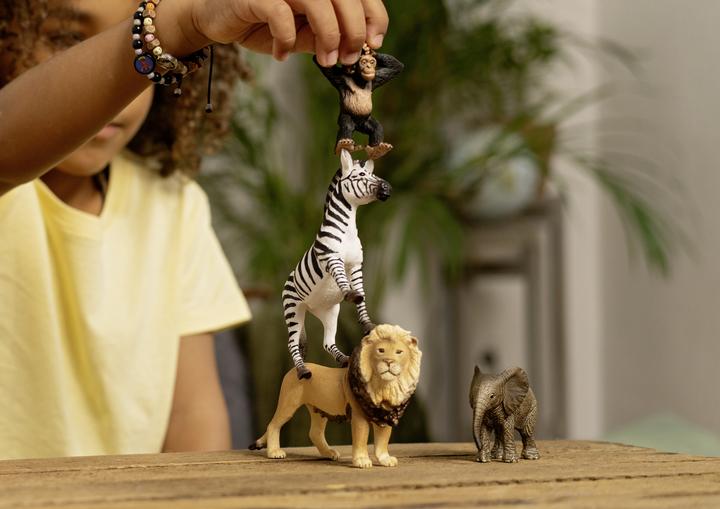 Produktbild Schleich Wild Life Afrika Starter-Set