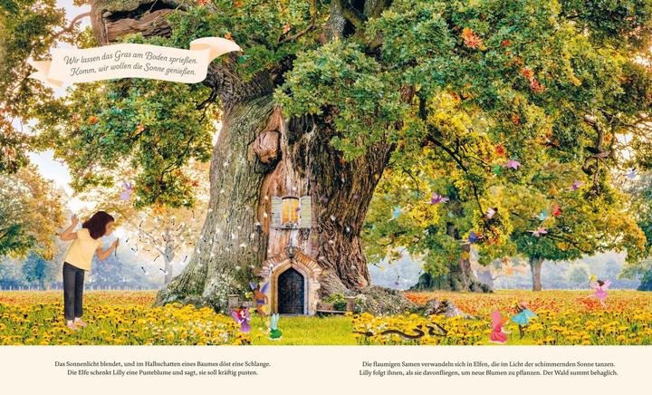 Produktbild Hinter der Elfentür (Deutsch, Lars van de Goor, Giulia Tomai, Gabby Dawnay, 2023)