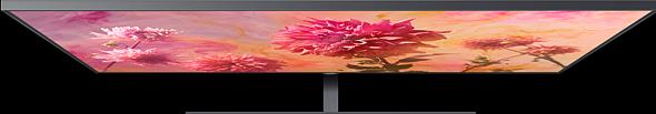Immagine prodotto Samsung Qe65q9fn (65", LCD, 4K, 2018)