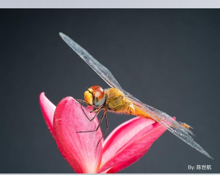 Actual product image TTArtisan Fixed focal length 40 mm F/2.8 (Nikon Z, APS-C / DX)