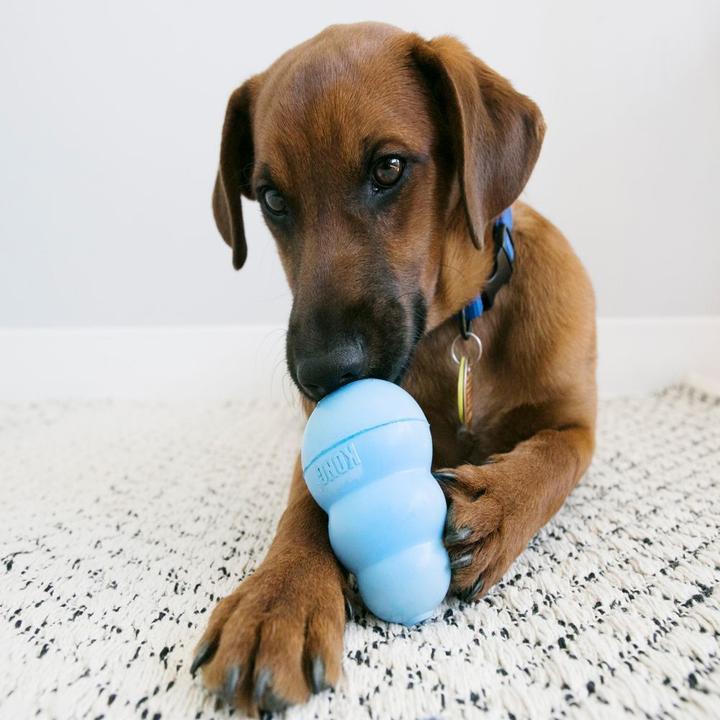 Image du produit KONG Chiot (Jouet pour chiot)
