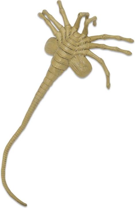 Image du produit Neca Aliens : 1/1 Facehugger