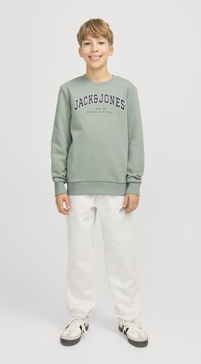 Actual product image Jack & Jones Jjecaleb Varsity Sweat Crew Neck Sn Jnr (140)