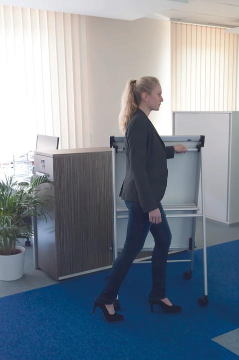 Actual product image Maul Flipchart MAULpro silver (69 x 100.5 cm)