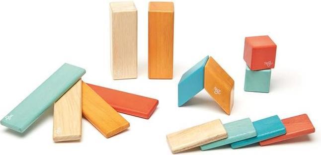 Actual product image Tegu Magnetic