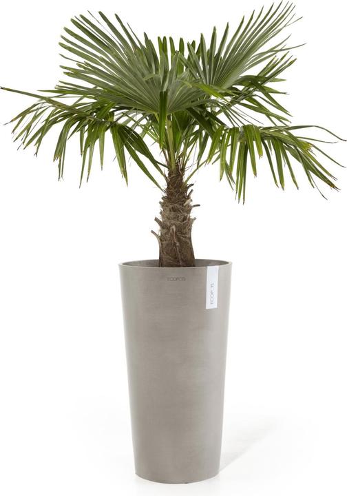 Produktbild Ecopots Amsterdam halbhoch (66 cm)