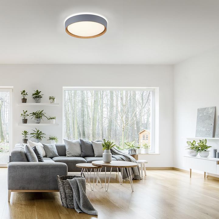 Actual product image Selltec LED ceiling light MILIA (3400 lm)