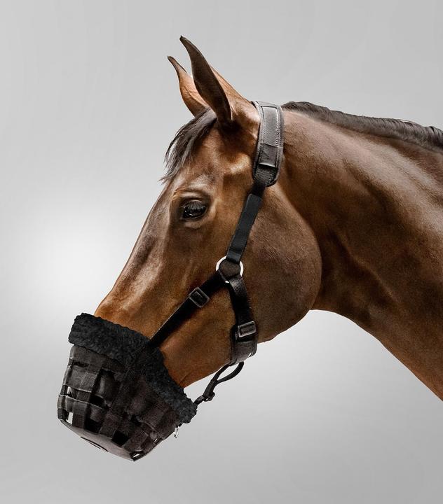 Waldhausen Komfortable Maulkorb für Ponys