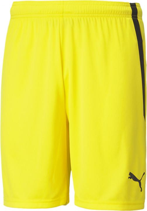 Produktbild Puma teamLIGA Shorts-704924 (S)
