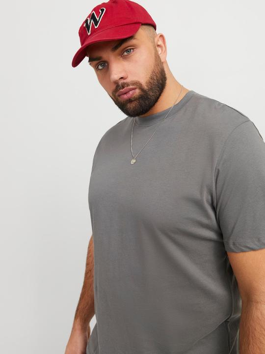 Actual product image Jack & Jones Jjebradley Tee Ss Noos Pls (6XL)