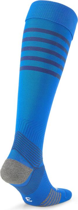 Produktbild Puma teamFINAL Socks (39 - 42)