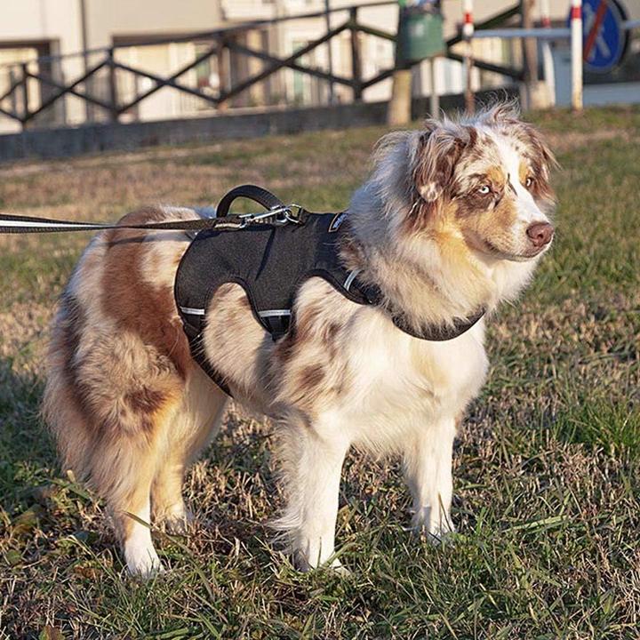 Produktbild Ferplast Ausbruchsicheres Hundegeschirr ERGOTREKKING (L, Hund, Allgemein)