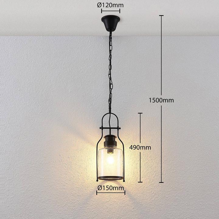 Produktbild Lindby Rozalie Pendelleuchte Clear/Black (E27)