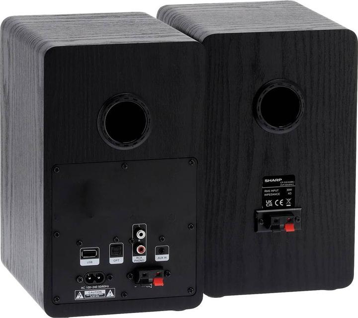 Produktbild Sharp CP-SS30 (1 Paar, 60 W)