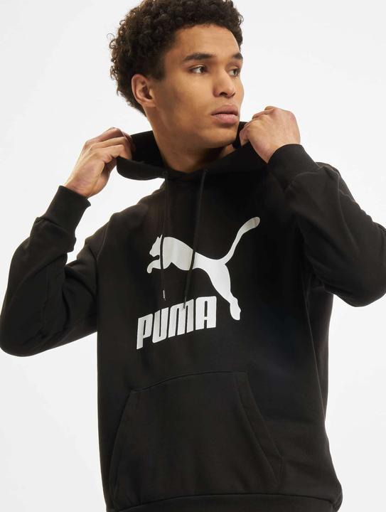 Actual product image Puma Classics Logo Hoodie TR-530084 (M)