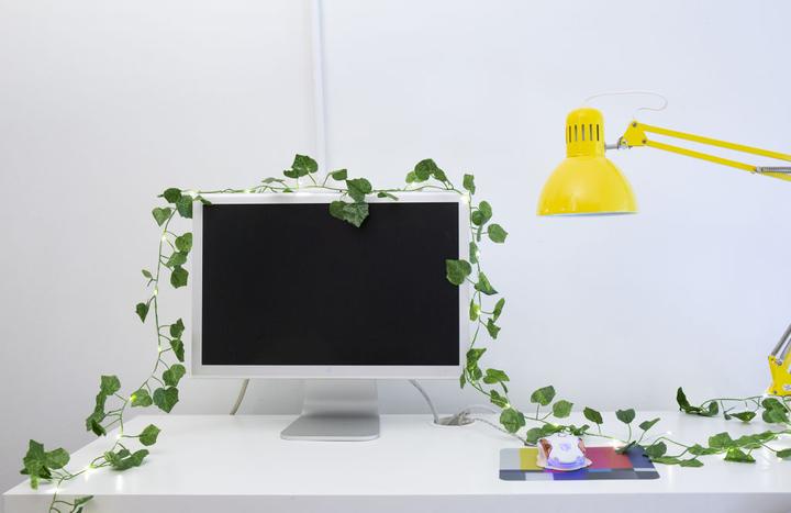 Actual product image Kikkerland Ivy (3.05 m)
