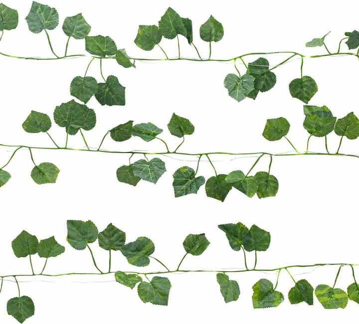 Catena luminosa